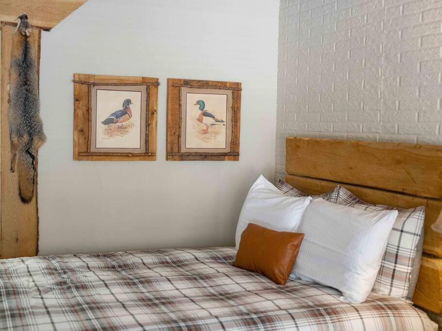 Stonegate Lodge 2 Queen Beds Fast Wifi 50In Tv Salt Water Pool Room # 305 Eureka Springs Exterior foto